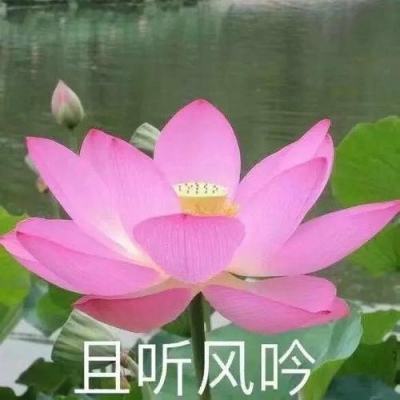 四川地震预警功能怎么开?(QQ+微信)